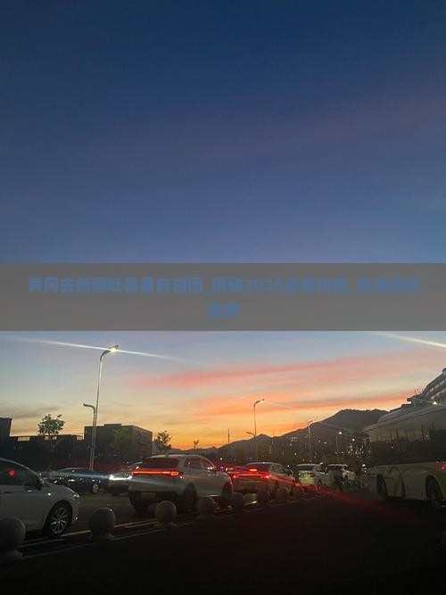 黄冈去新疆吐鲁番自由团