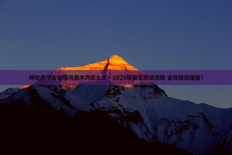呼伦贝尔去新疆乌鲁木齐旅行社