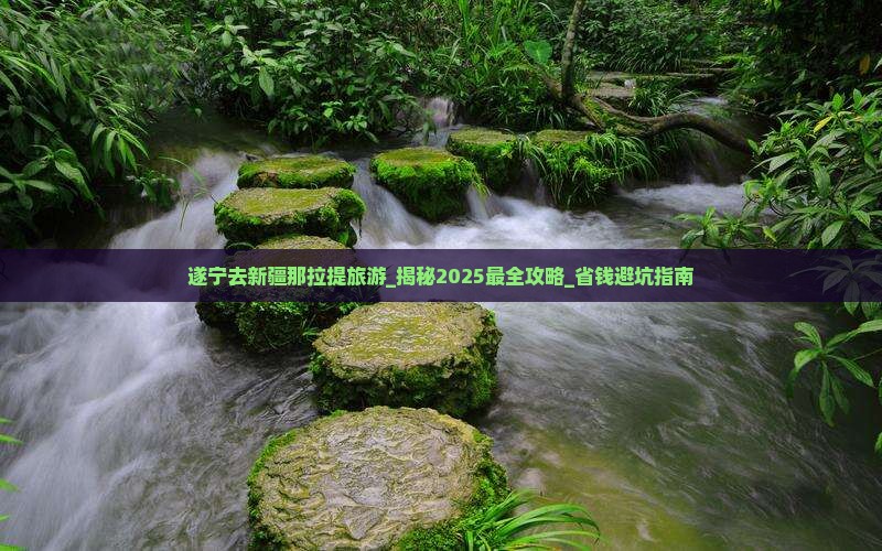 遂宁去新疆那拉提旅游