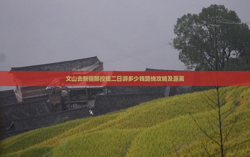 文山去新疆那拉提二日游