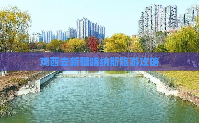 鸡西去新疆喀纳斯哪里玩