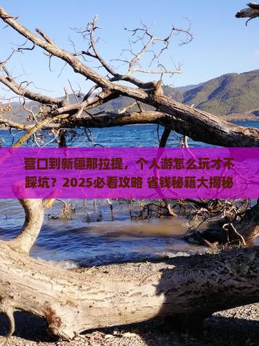 营口到新疆那拉提个人游