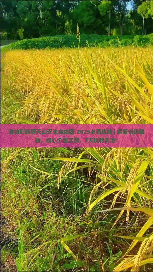 潍坊到新疆天山天池自由团