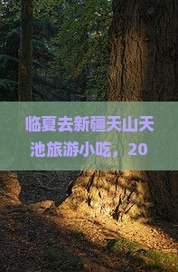 临夏去新疆天山天池旅游小吃