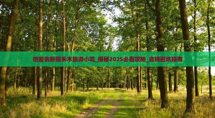 哈密去新疆禾木旅游小吃