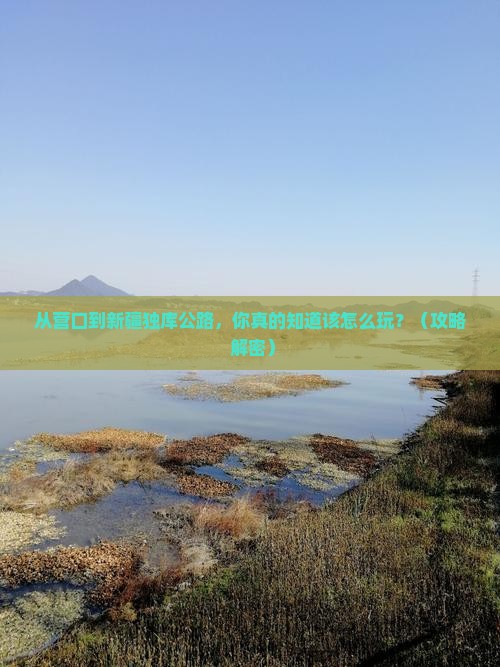 营口到新疆独库公路哪里玩
