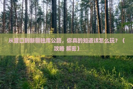 营口到新疆独库公路哪里玩