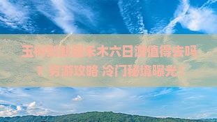 玉树到新疆禾木六日游