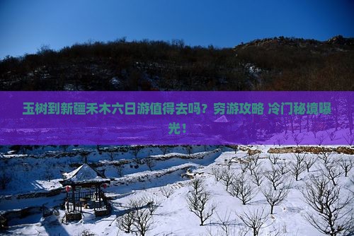 玉树到新疆禾木六日游