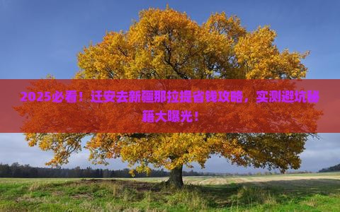 迁安去新疆那拉提攻略