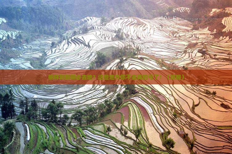 榆林到新疆必去地