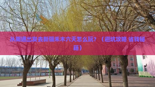 南通到新疆禾木六日游