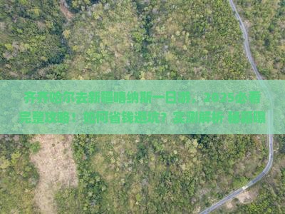 齐齐哈尔去新疆喀纳斯一日