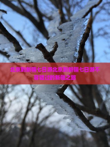 北京到新疆七日游