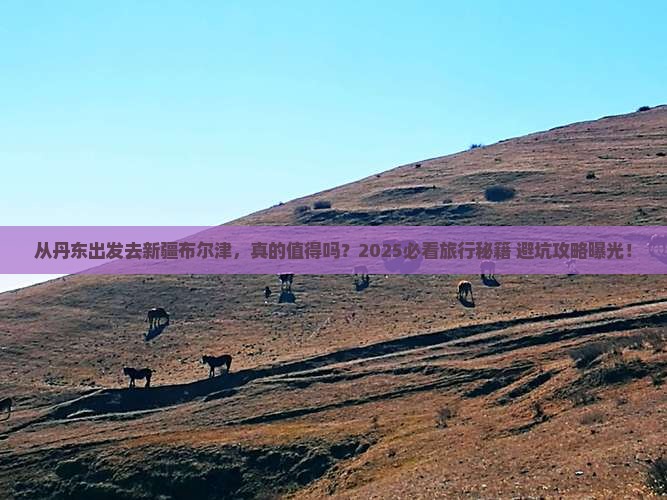 丹东去新疆布尔津旅游