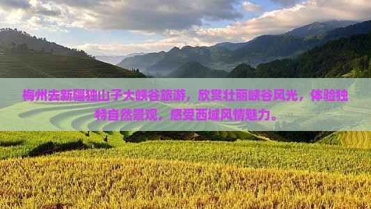 梅州去新疆独山子大峡谷旅游