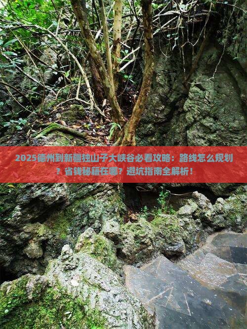 德州到新疆独山子大峡谷攻略