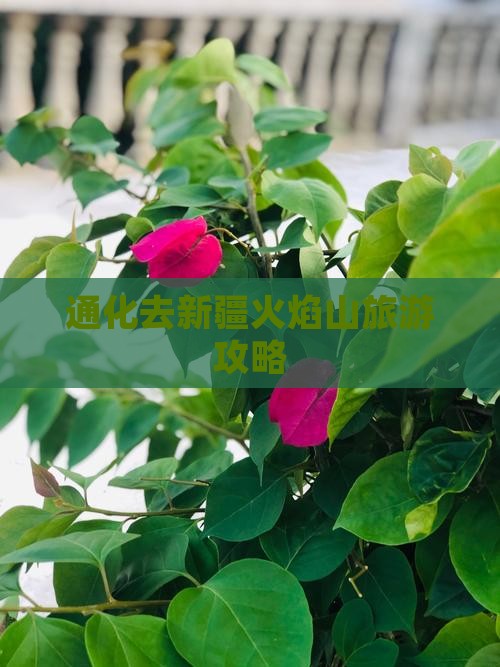 通化去新疆火焰山攻略