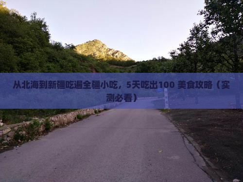 北海去新疆旅游小吃