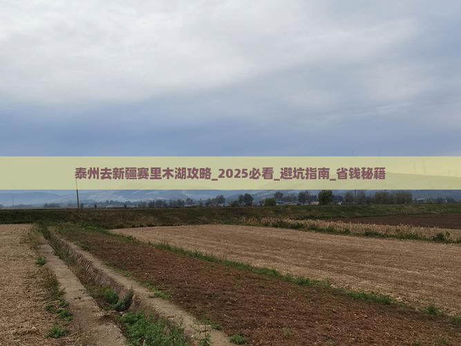 泰州去新疆赛里木湖攻略