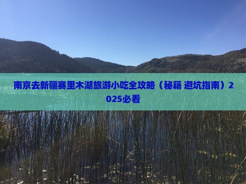 南京去新疆赛里木湖旅游小吃