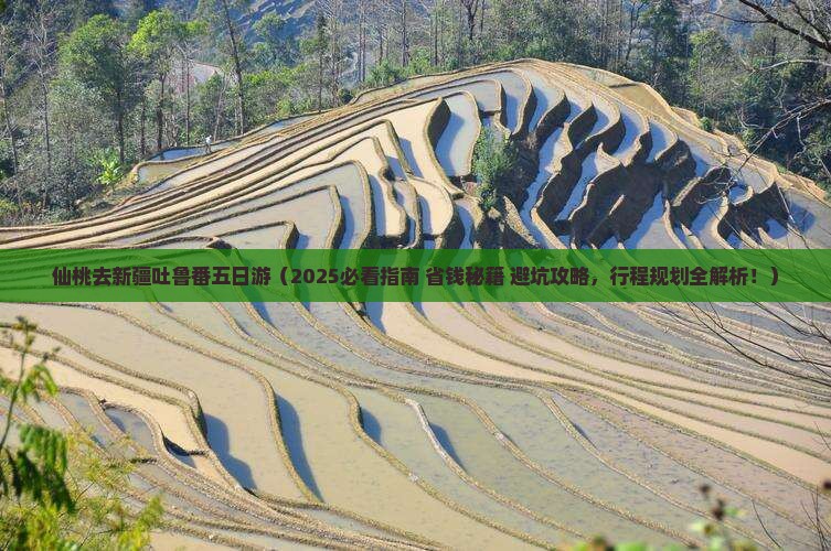 仙桃去新疆吐鲁番五日游