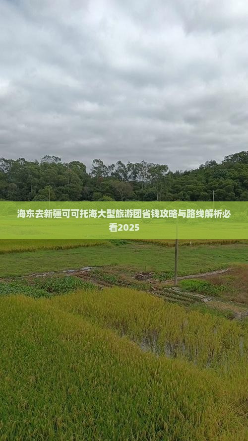 海东去新疆可可托海大型旅游团
