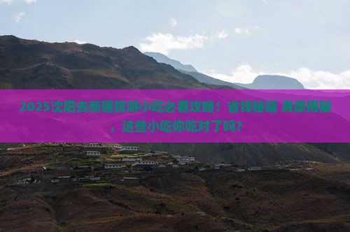 沈阳去新疆旅游小吃