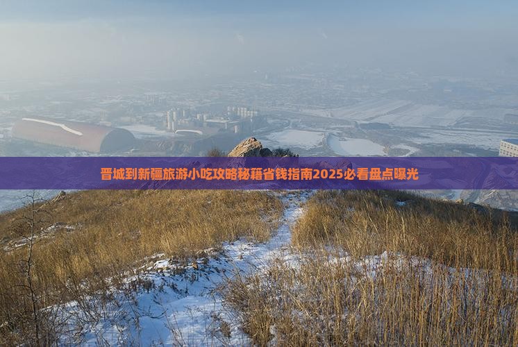 晋城到新疆旅游小吃