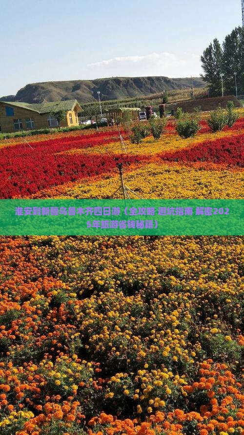淮安去新疆乌鲁木齐四日游