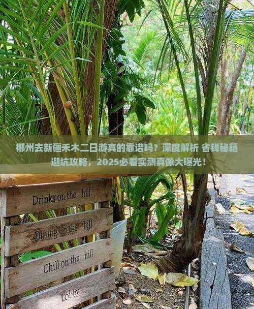 郴州去新疆禾木二日游