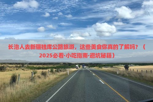 长治去新疆独库公路旅游小吃
