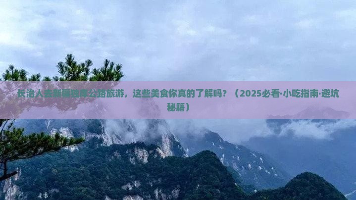 长治去新疆独库公路旅游小吃
