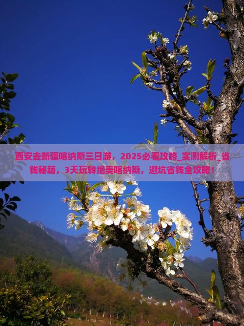 西安去新疆喀纳斯三日游
