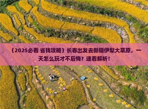 长春到新疆伊犁大草原一日