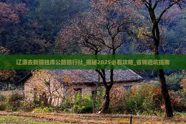 辽源去新疆独库公路旅行社