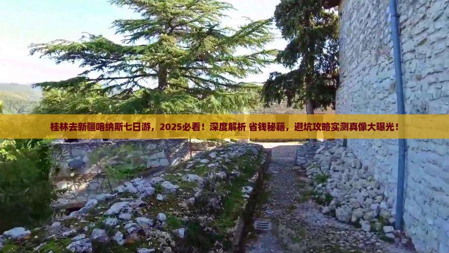 桂林去新疆喀纳斯七日游