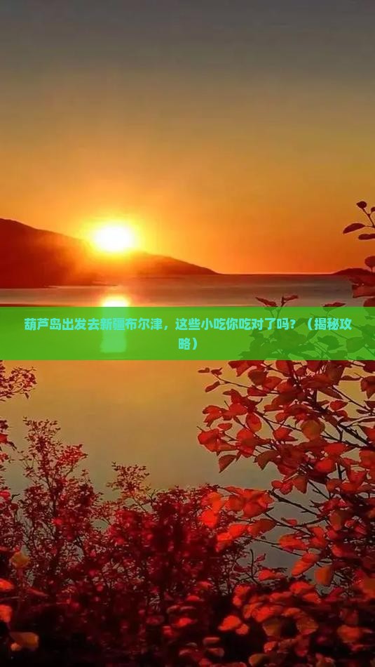 葫芦岛去新疆布尔津旅游小吃
