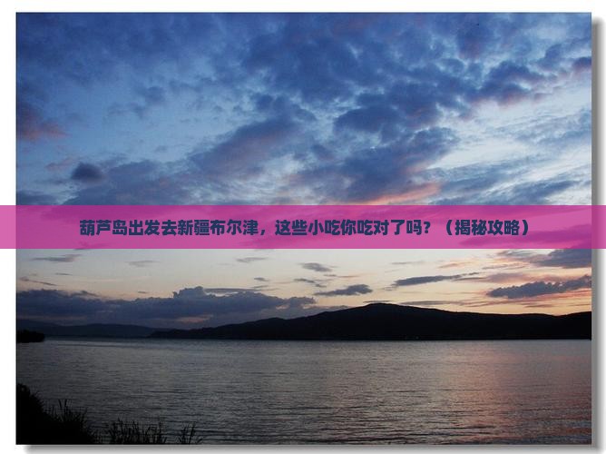 葫芦岛去新疆布尔津旅游小吃