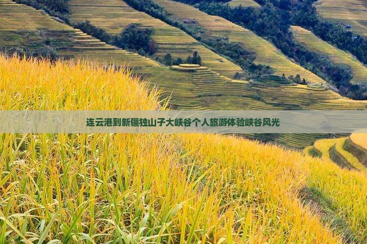 连云港到新疆独山子大峡谷个人游