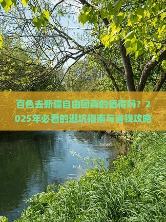 百色去新疆自由团