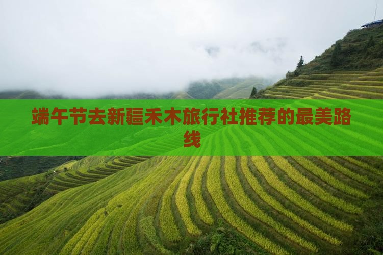 端午节去新疆禾木旅行社