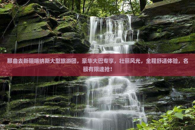 那曲去新疆喀纳斯大型旅游团