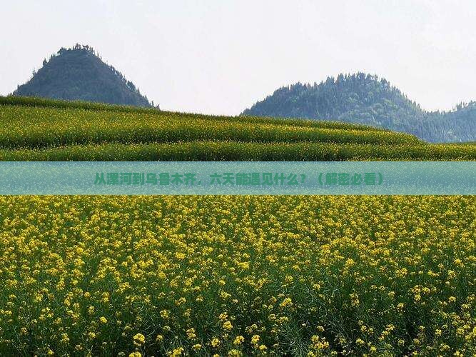 漯河去新疆乌鲁木齐六日游