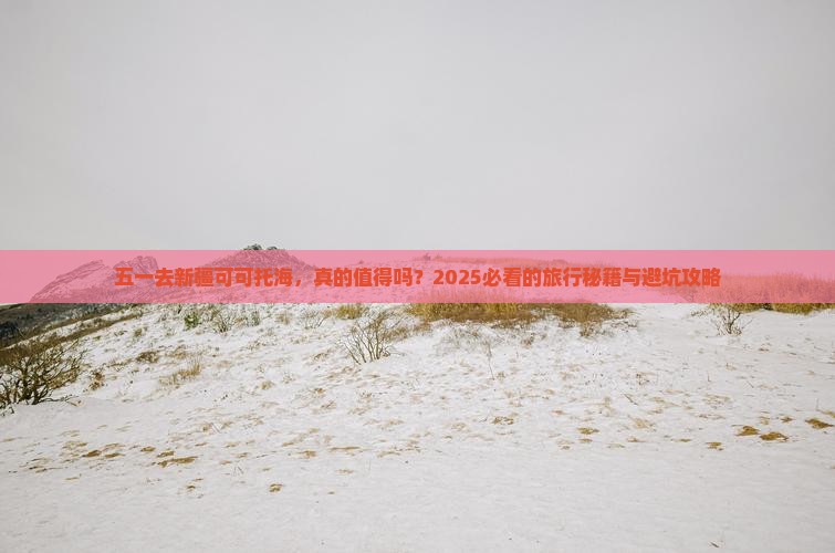 劳动节去新疆可可托海个人游