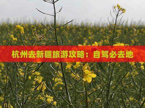 杭州去新疆必去地