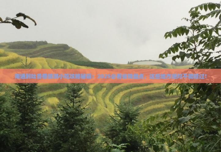 南通到新疆吐鲁番旅游小吃
