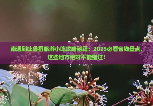 南通到新疆吐鲁番旅游小吃