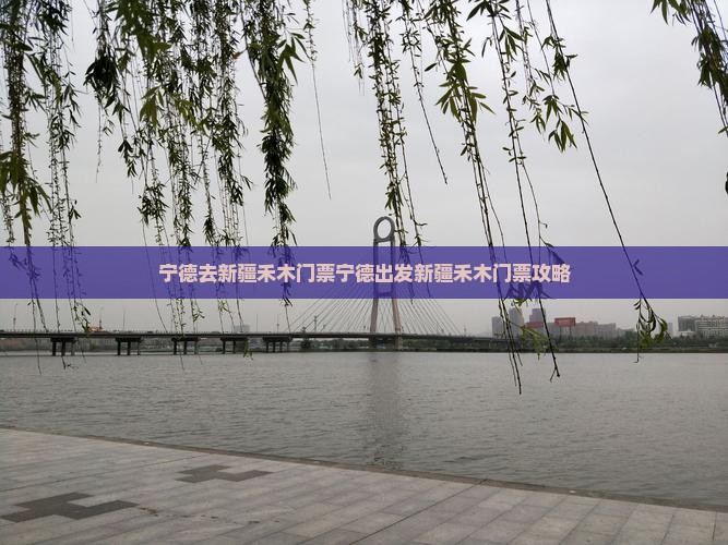 宁德去新疆禾木门票