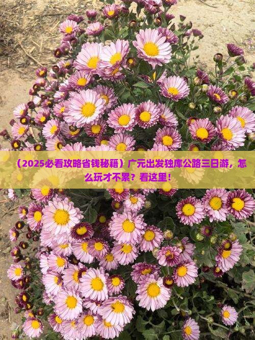 广元到新疆独库公路三日游